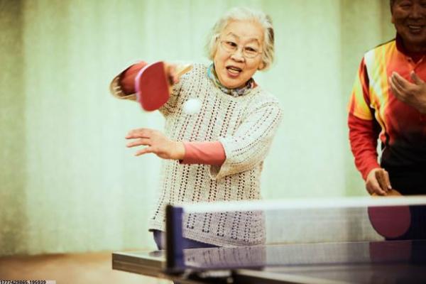 崇文体育馆培训班项目与特色(图1)